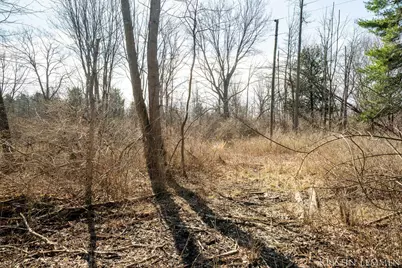 V/L 121st Avenue, Fennville, MI 49408 - Photo 22