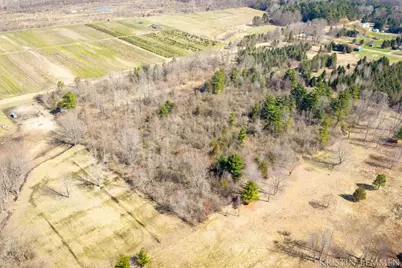 V/L 121st Avenue, Fennville, MI 49408 - Photo 12