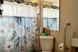 1001 Ferley St, Lansing, MI 48911 - Photo 6