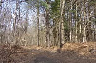 222 E 4th St, Grand Junction, MI 49056 - Photo 8