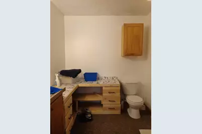 222 E 4th Street, Grand Junction, MI 49056 - Photo 28