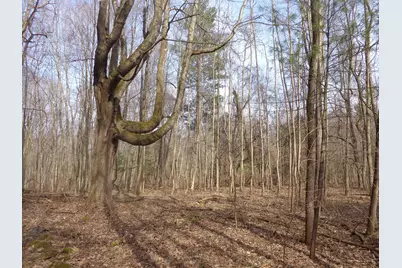 222 E 4th Street, Grand Junction, MI 49056 - Photo 10