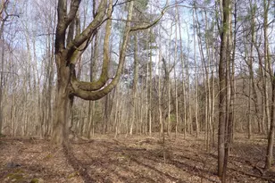 222 E 4th St, Grand Junction, MI 49056 - Photo 10