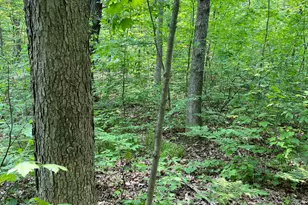 Vl Sherman Rd, Fountain, MI 49410 - Photo 6