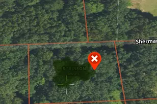 Vl Sherman Rd, Fountain, MI 49410 - Photo 1