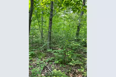 Vl Sherman Road, Fountain, MI 49410 - Photo 8