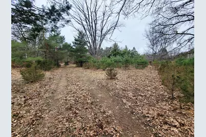 1217 58th Street, Pullman, MI 49450 - Photo 2