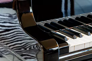 276 Indian River Pl, Ann Arbor, MI 48104 - Photo 16