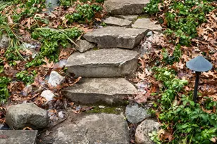 276 Indian River Pl, Ann Arbor, MI 48104 - Photo 108