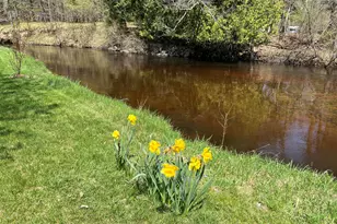 6425 S Taylor Rd, Branch, MI 49402 - Photo 12