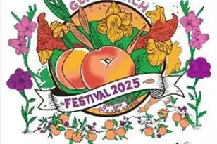 329 Elm St, Watervliet, MI 49098 - Photo 30