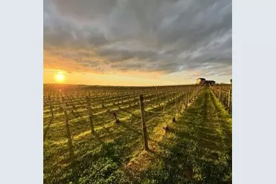 329 Elm Street, Watervliet, MI 49098 - Photo 28