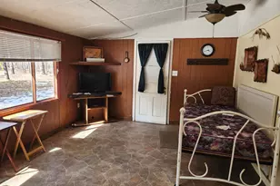 5247 N Access Rd, Irons, MI 49644 - Photo 4