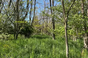 0 Twelfth St, Manistee, MI 49660 - Photo 1