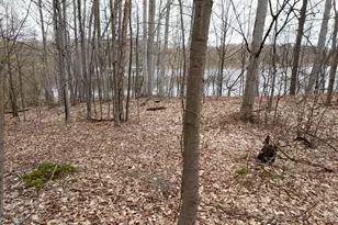 5424 W Oak Point Rd, Ludington, MI 49431 - Photo 10