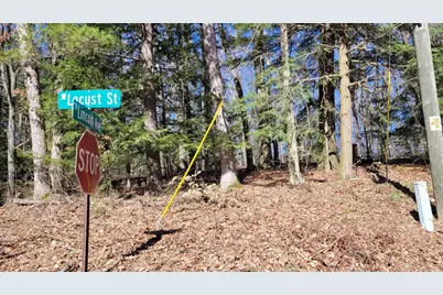 947 W Locust Street, White Cloud, MI 49349 - Photo 10