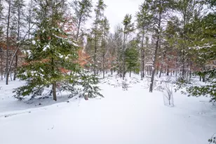 4813 W 48th St, Baldwin, MI 49304 - Photo 22