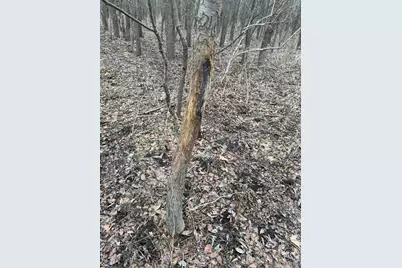 Portage Road, Niles, MI 49120 - Photo 12