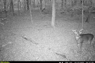 10345 Red Oak Ridge, Howard City, MI 49329 - Photo 94