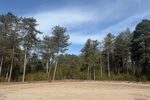 V/L W Pine Acres Trail, Hart, MI 49420 - Photo 1