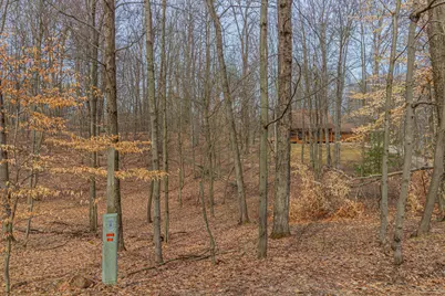 10082 Sante Fe Trail #94, Canadian Lakes, MI 49346 - Photo 6