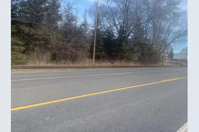 Parcel A W Shaw Street, Howard City, MI 49329 - Photo 2