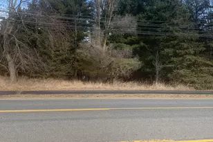 Parcel A W Shaw St, Howard City, MI 49329 - Photo 1