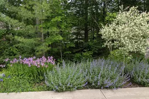 4209 N Oak Pointe NE, Grand Rapids, MI 49525 - Photo 74