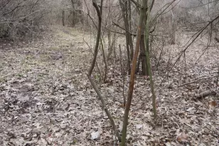 9593 Oakley Rd, Saint Charles, MI 48655 - Photo 64