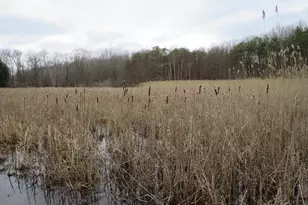 9593 Oakley Rd, Saint Charles, MI 48655 - Photo 72