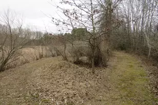 9593 Oakley Rd, Saint Charles, MI 48655 - Photo 74