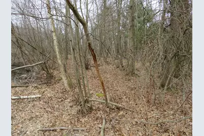 9593 Oakley Road, Saint Charles, MI 48655 - Photo 54