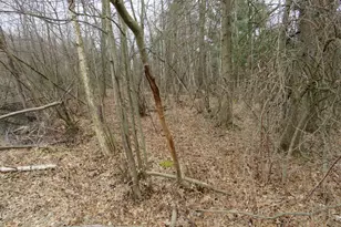 9593 Oakley Rd, Saint Charles, MI 48655 - Photo 54