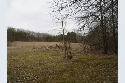 9593 Oakley Road, Saint Charles, MI 48655 - Photo 52