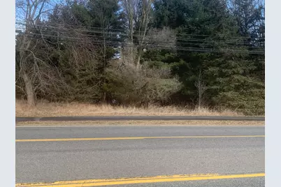 Parcel B W Shaw Street, Howard City, MI 49329 - Photo 2