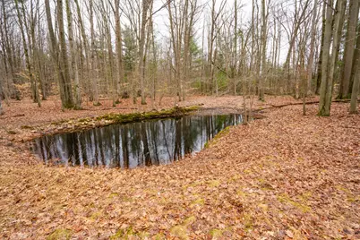 4202 E Pontaluna Road, Fruitport, MI 49415 - Photo 4