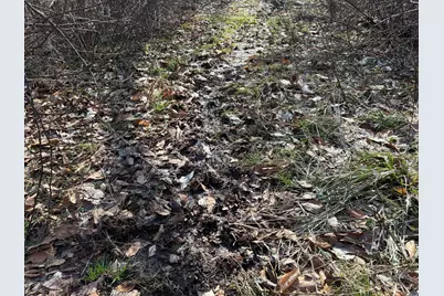 V/L County Road 681, Hartford, MI 49057 - Photo 38