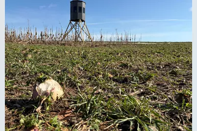 V/L County Road 681, Hartford, MI 49057 - Photo 30