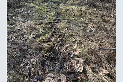 V/L County Road 681, Hartford, MI 49057 - Photo 46