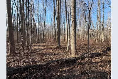 V/L County Road 681, Hartford, MI 49057 - Photo 32