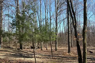 02533 53rd St, Grand Junction, MI 49056 - Photo 6