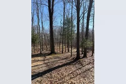 02533 53rd Street, Grand Junction, MI 49056 - Photo 8