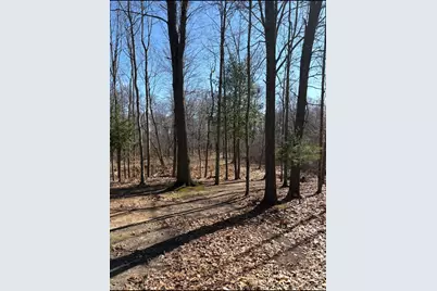 02533 53rd Street, Grand Junction, MI 49056 - Photo 14