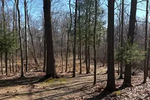 02533 53rd St, Grand Junction, MI 49056 - Photo 14