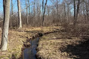 02533 53rd St, Grand Junction, MI 49056 - Photo 8