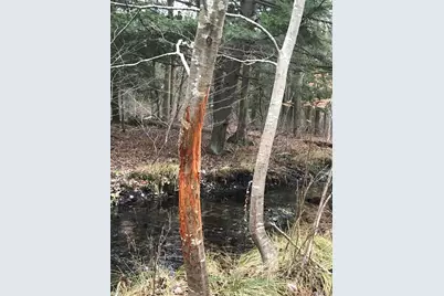 02533 53rd Street, Grand Junction, MI 49056 - Photo 2