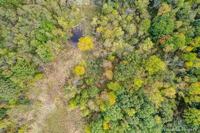 0 Sayles Road, Saranac, MI 48881 - Photo 4