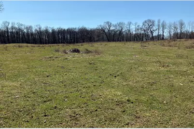 Vl Wellman Rd, Parma, MI 49269 - Photo 2
