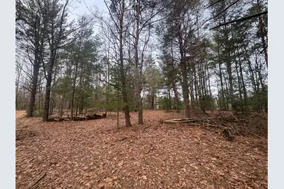 V/L 8.09A N Centerline Road, White Cloud, MI 49349 - Photo 34