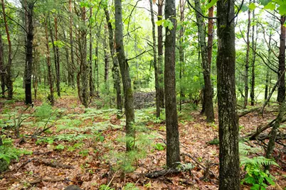 V/L 8.09A N Centerline Road, White Cloud, MI 49349 - Photo 12